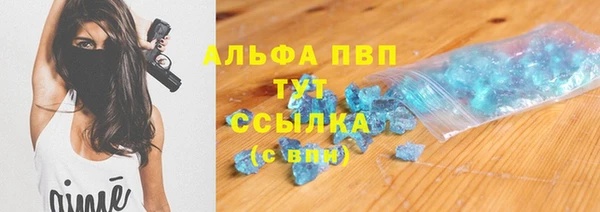 шишки Абаза