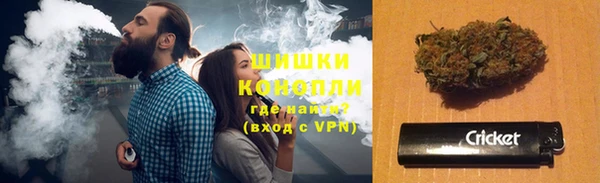 шишки Абаза