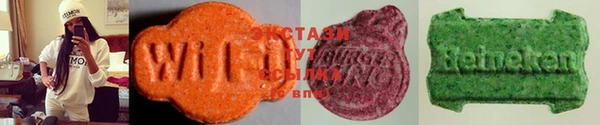 шишки Абаза