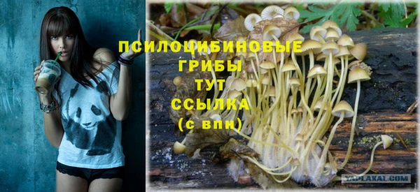 хмурый Абдулино