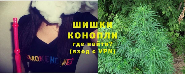 шишки Абаза