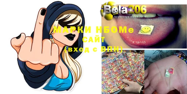 шишки Абаза
