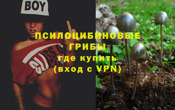 ECSTASY Алексеевка
