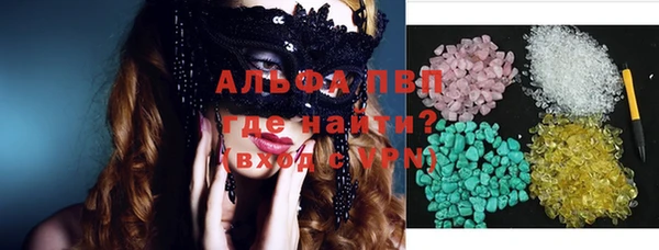 шишки Абаза