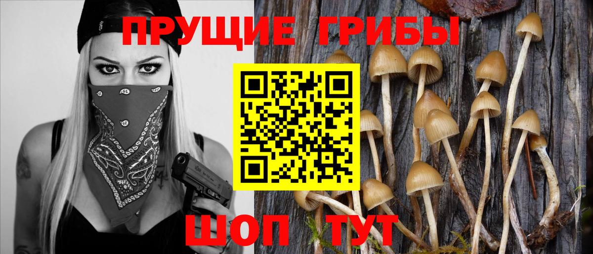 Галлюциногенные грибы мицелий  Вход с VPN  Мурино  Галлюциногенные грибы мухоморы 