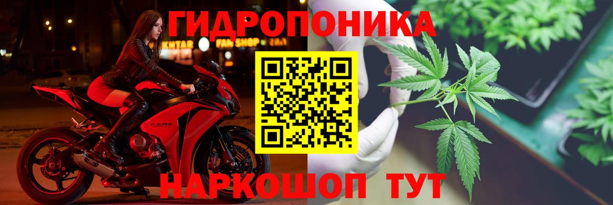 Бошки марихуана планчик  Шишки марихуана SATIVA & INDICA  Мурино  Вход с VPN 